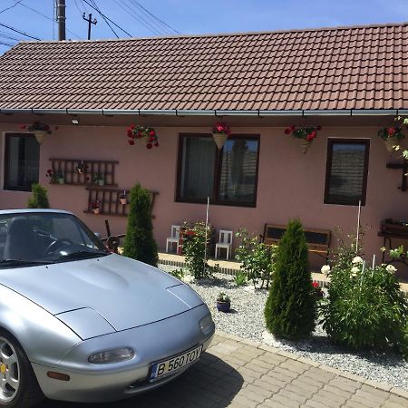 Casa Rustica Cu Terasa Villa Mediaş Eksteriør bilde