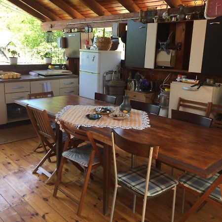 Casa Rustica Cu Terasa Villa Mediaş Eksteriør bilde