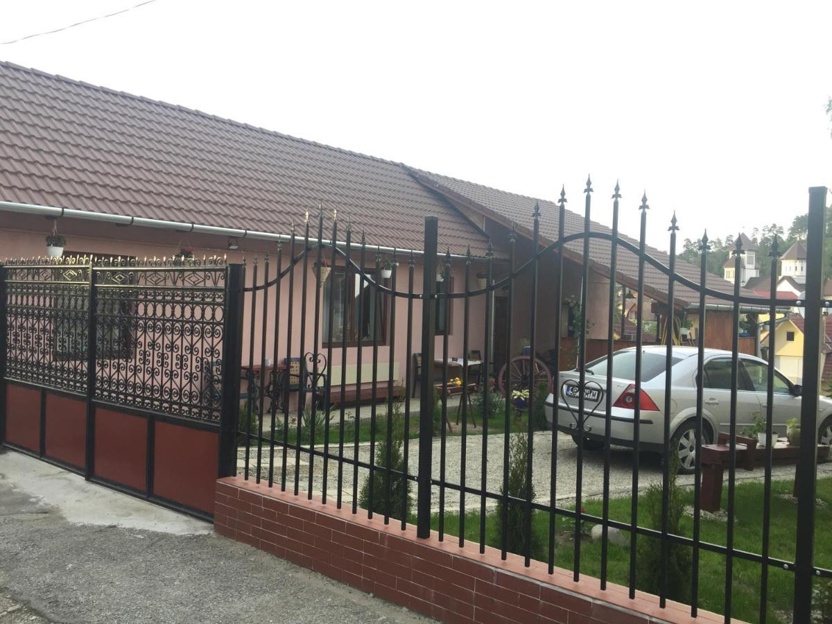 Casa Rustica Cu Terasa Villa Mediaş Eksteriør bilde