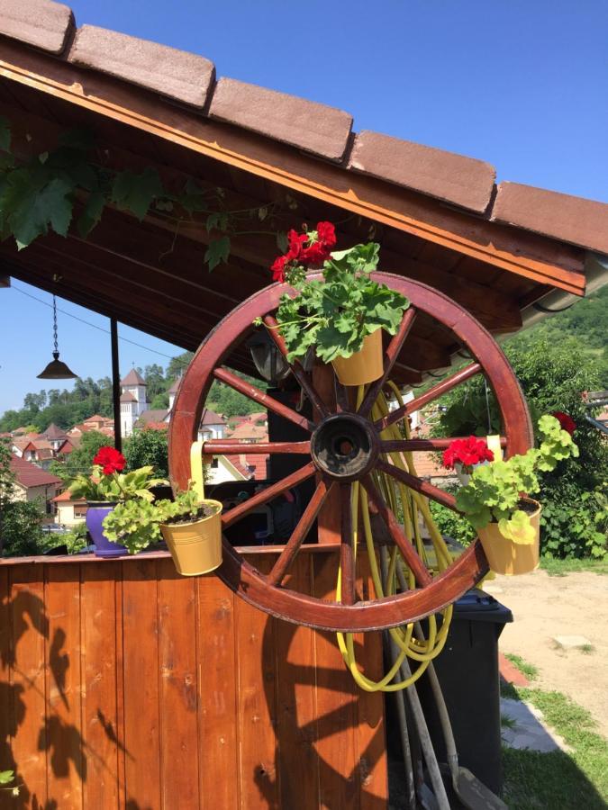 Casa Rustica Cu Terasa Villa Mediaş Eksteriør bilde