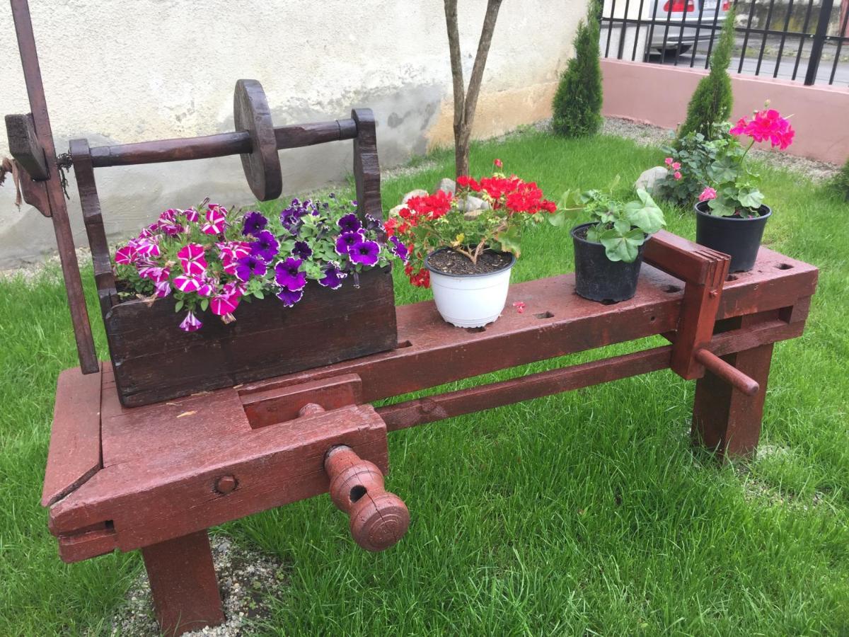 Casa Rustica Cu Terasa Villa Mediaş Eksteriør bilde