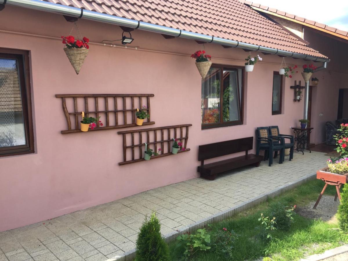 Casa Rustica Cu Terasa Villa Mediaş Eksteriør bilde