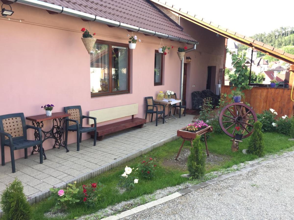 Casa Rustica Cu Terasa Villa Mediaş Eksteriør bilde