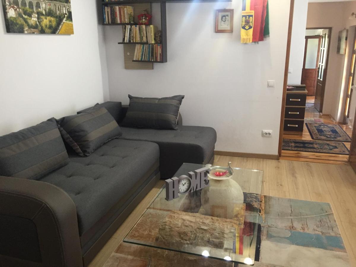 Casa Rustica Cu Terasa Villa Mediaş Eksteriør bilde
