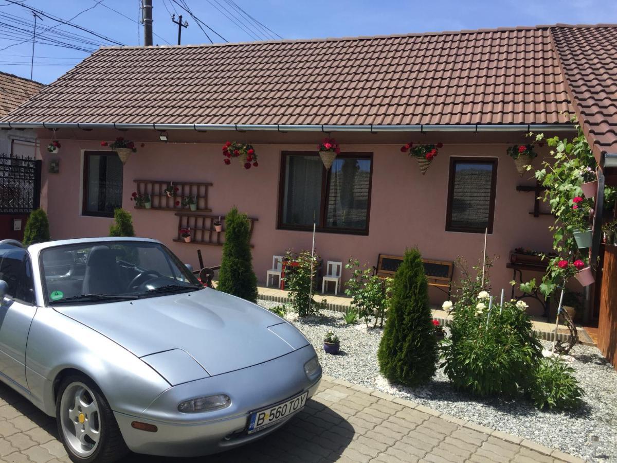 Casa Rustica Cu Terasa Villa Mediaş Eksteriør bilde