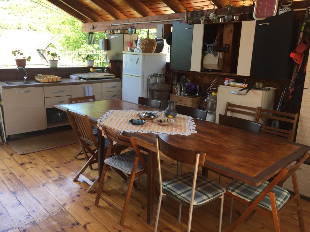 Casa Rustica Cu Terasa Villa Mediaş Eksteriør bilde