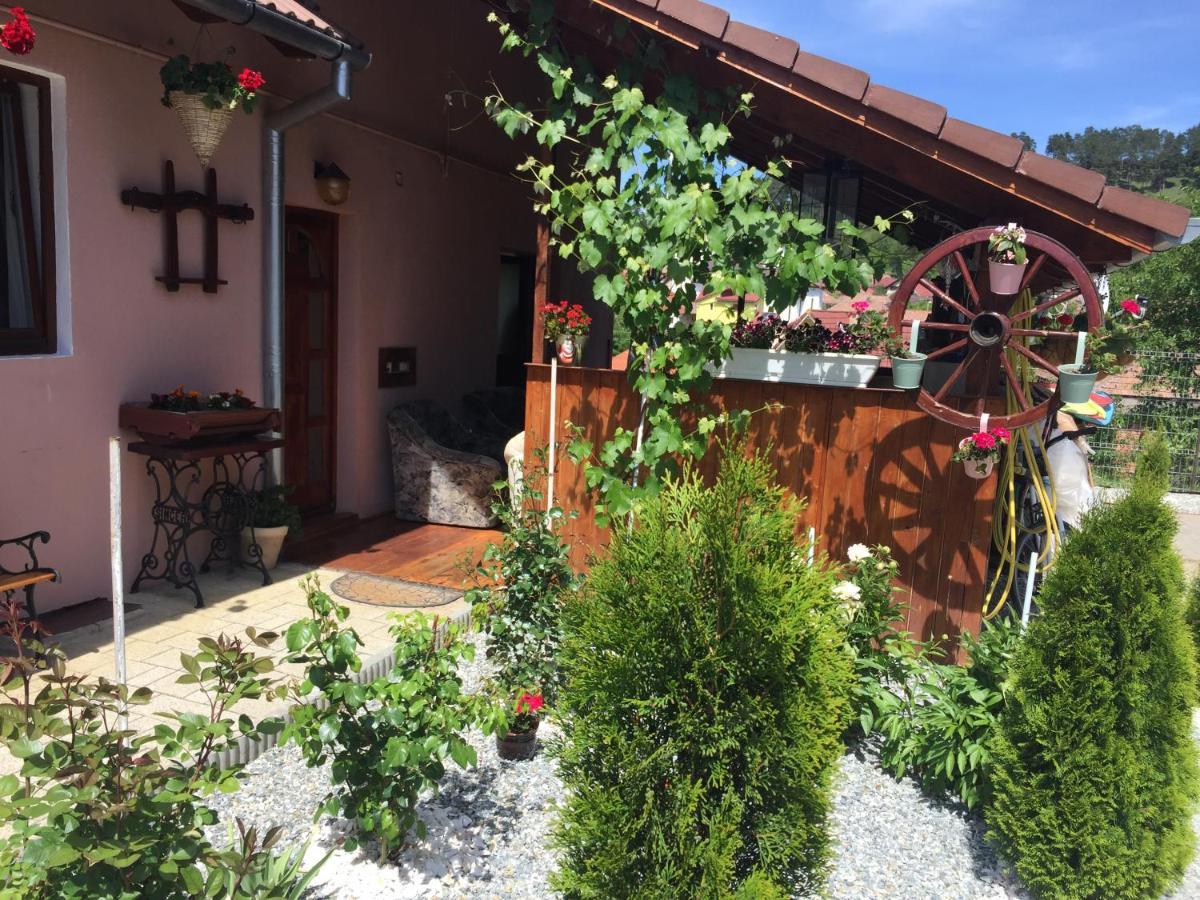 Casa Rustica Cu Terasa Villa Mediaş Eksteriør bilde